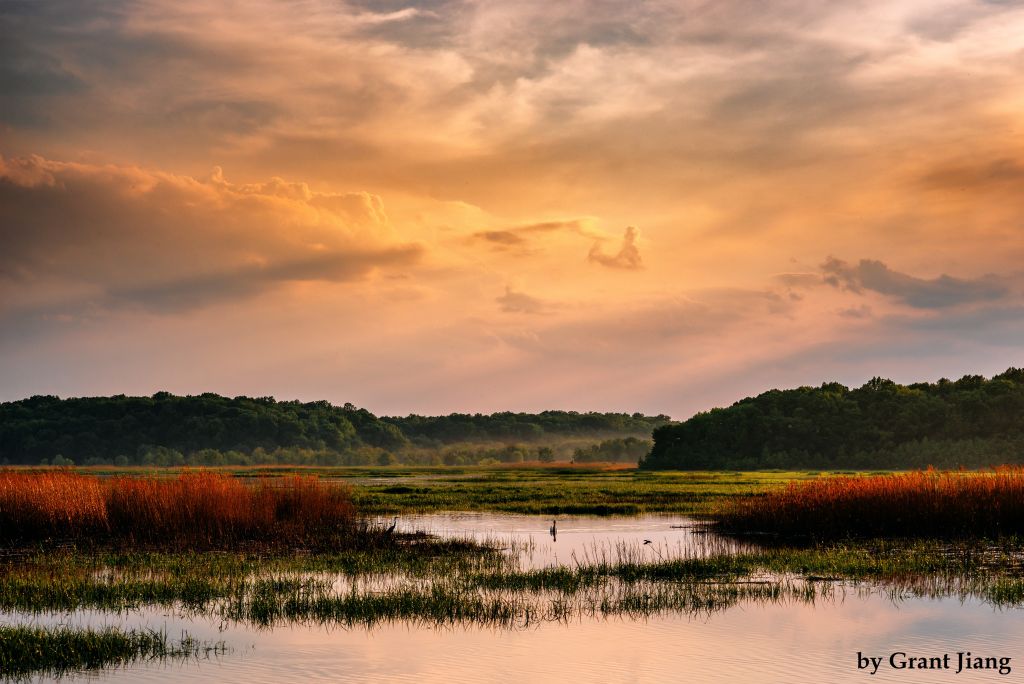 Duane-Loveland_Brecks-Mil-on-Brandywine